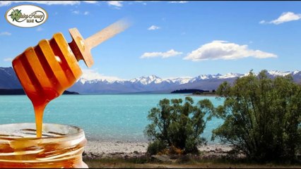 Looking for Manuka Honey UMF 16+