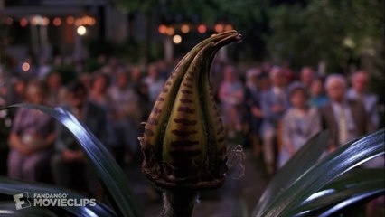 Dennis the Menace (4/7) Movie CLIP - The Forty Year Orchid (1993) HD