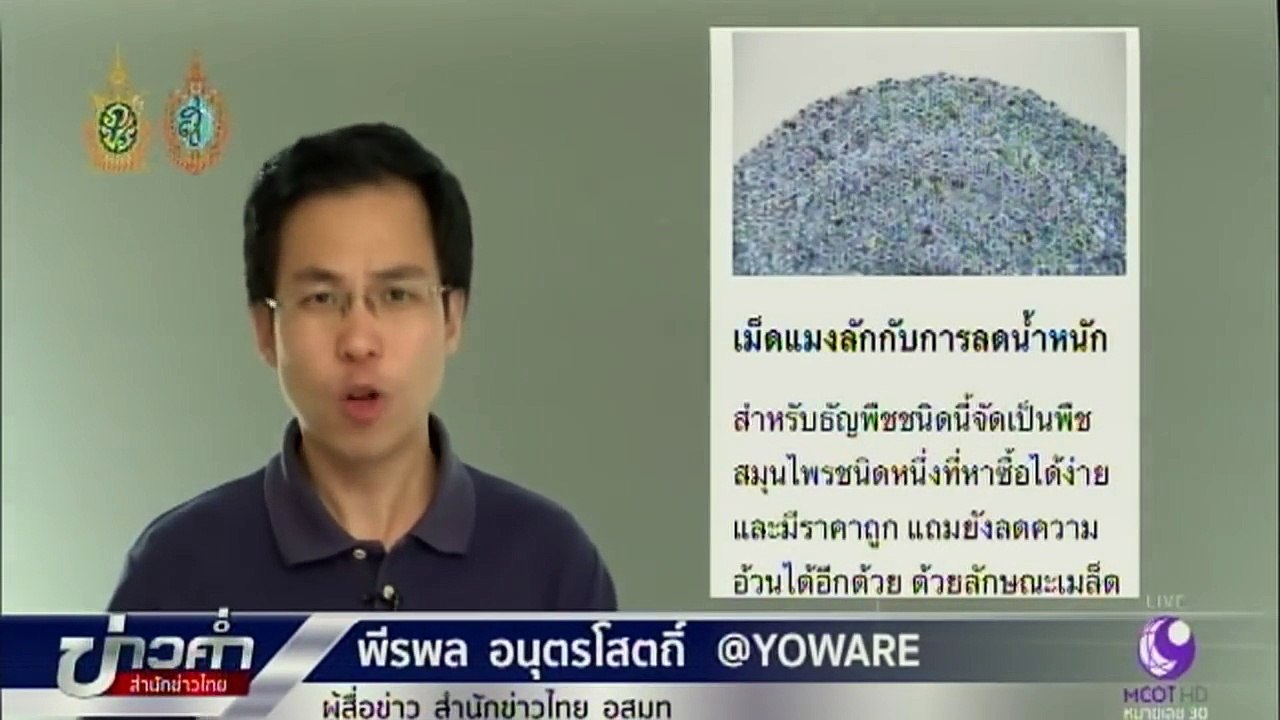 ชัวร์ก่อนแชร์ _ เม็ดแมงลักลดความอ้วนจริงหรือ_ _ สำนักข่าวไทย อสมท