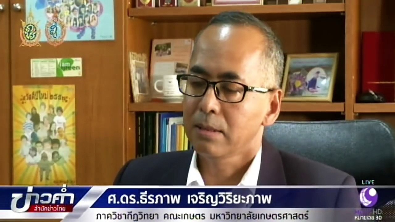 ชัวร์ก่อนแชร์ _ แมลงอันตราย พิษร้ายตายลูกเดียว จริงหรือ_