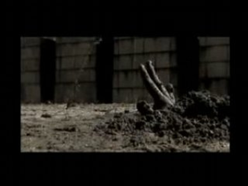 Dionysos Giant Jack le CLIP