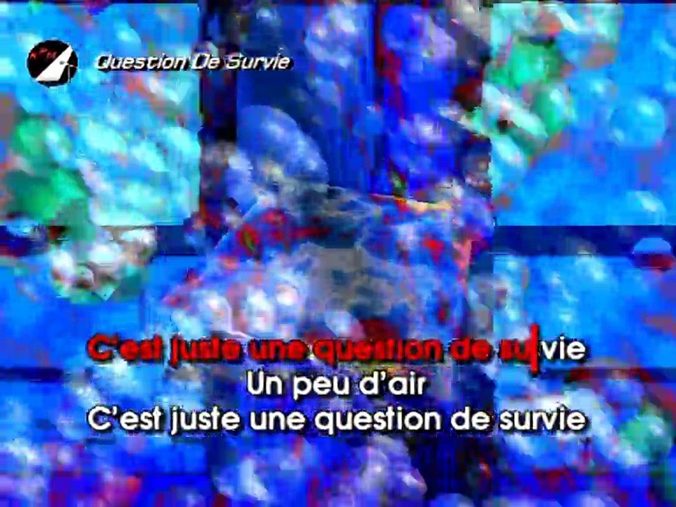 Question De Survie Karaoké - L5*