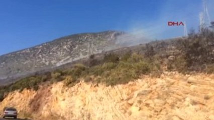 Karaburun'da Piknikçi Ateşi Ormanı Yaktı-3