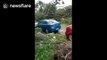 Large numbers of cars damaged by trees blown down by Typhoon Meranti