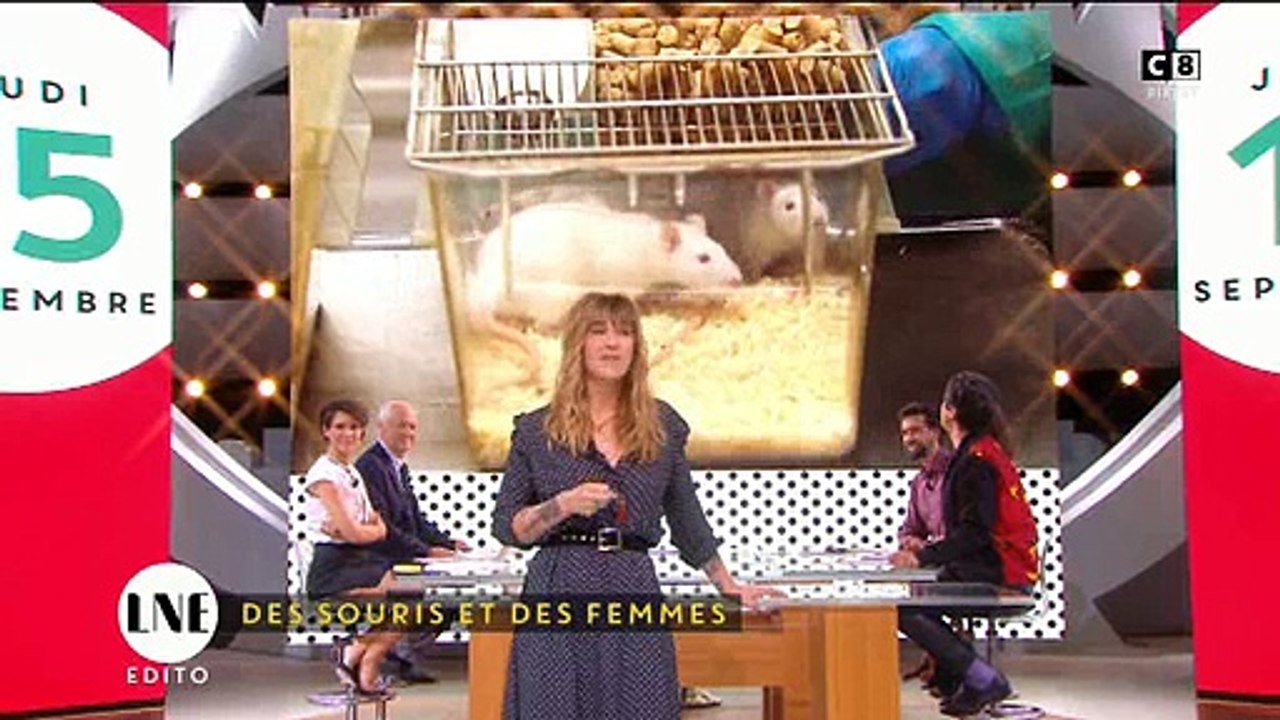 Daphné Bürki se moque d'Afida Turner en direct sur C8: "La porte est grande ouverte à la zézette" - Regardez