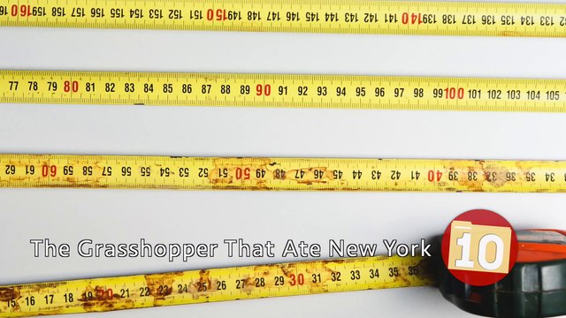 Top 10 PERFECTLY Timed PHOTOS