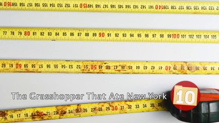 Top 10 PERFECTLY Timed PHOTOS