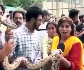 Pakistani funny female news reporter abusing must watch