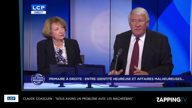 Claude Goasguen : Nous avons un problème avec les maghrébins