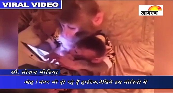 ओह ! बंदर भी हो रहे हैं हाईटेक, देखिये इस वीडियो में