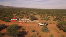 Planète safari - Bonus web