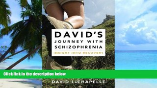 Big Deals  David s Journey with Schizophrenia: Insight into Recovery  Free Full Read Best Seller