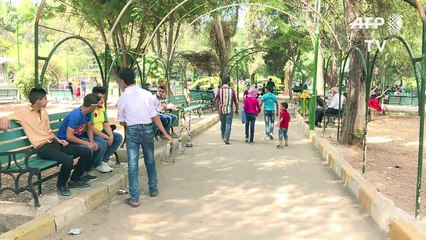 Macaco Feliz é um termômetro do conflito na Síria