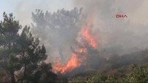 Karaburun'da Piknikçi Ateşi Ormanı Yaktı Ek Kısmen Kontrol Altına Alındı -2