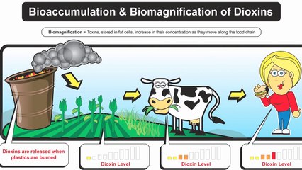 Lowering Dietary Antibiotic Intake