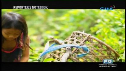 Reporters Notebook - September 15, 2016 Part 2