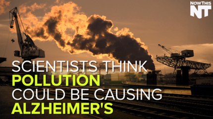 Possible Link Between Air Pollution And Alzheimer's