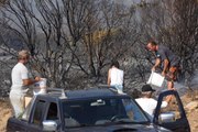 İzmir'de Makilik Alanda Yangın Çıktı! Piknikçi Aile Yangına Müdahale Etti