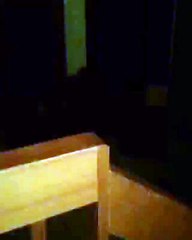 Bear Breaks Into House...