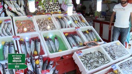 Mert  Savaş'la Cennet Köşeler 11 Eylül 2016 Şile-Sapanca