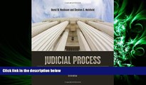 behold  Judicial Process: Law, Courts, and Politics in the United States
