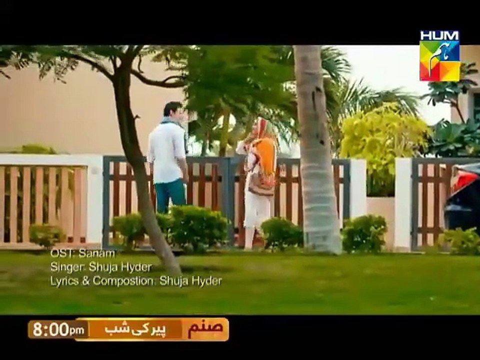 Sanam Full OST Video Song  Hum Tv