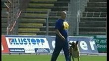 Devil vom Greifenring - Belgier WM 2005 UO
