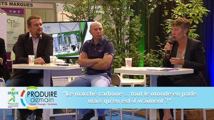 « Le marché carbone …»  Plate-forme R & D Space 2016  (partie 2)