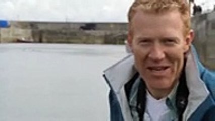 Pas i delfin najbolji prijatelji