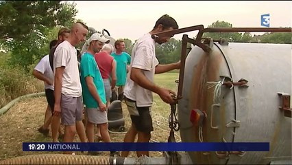 Sécheresse : les éleveurs touchés