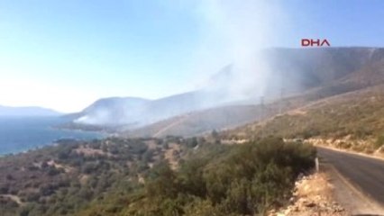 Karaburun'da Piknikçi Ateşi Ormanı Yaktı-2