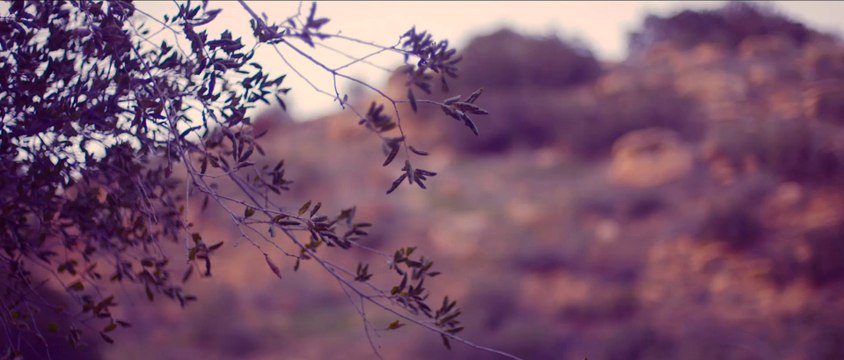 CT Sounds Car Audio Subaru Audio System