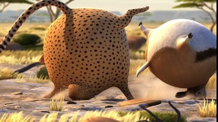 Et si les animaux étaient ronds ?