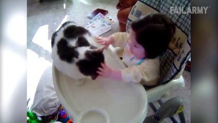 Funny Cat Fails Compilation    by FailArmy 2016