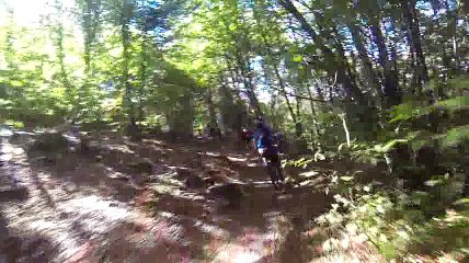 GOPR5467 4 dimanche  Apm - rouler groupir en foret [DIVX 480p]