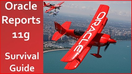 Oracle Reports Builder Survival Guide (1 of 40)