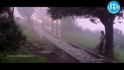 So Much To Say Song - Santosham Movie Songs - Nagarjuna - Gracy Singh - Shriya