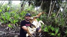 Holy Crab! Christmas Island Tourist Mark Pierrot Pictured with Giant Coconut Crab