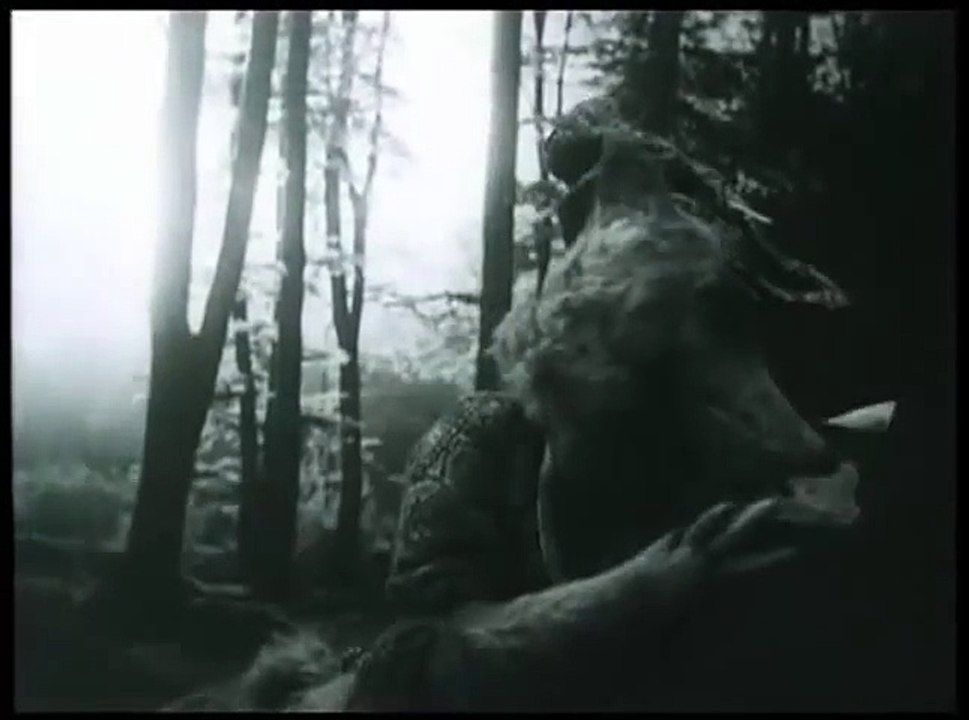 CORPUS DELICTI - Motherland