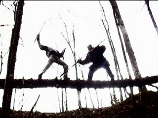 La forêt et ses petits secrets