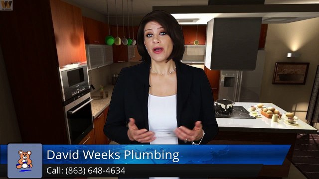 David Weeks Plumbing Lakeland Perfect Five Star Review by Joanie T.