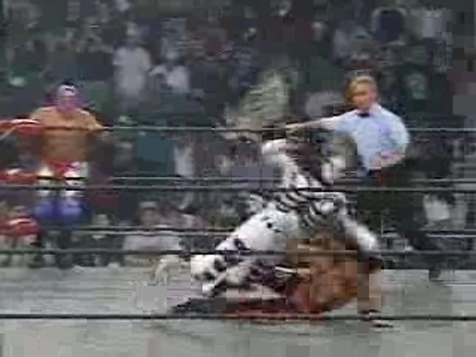WCW-Rey Mysterio Jr. Juventud vs La Parka