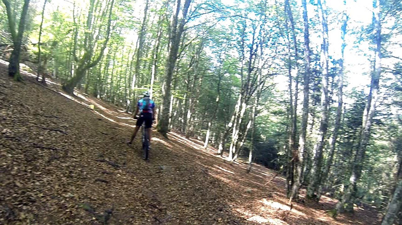 GOPR5455 4 dimanche  Apm - single rapide en devers en foret [DIVX 480p]