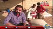 Camel Qurbani in Pakistan   Hadsaa   Accident while Qurbani   14 Sep 2016