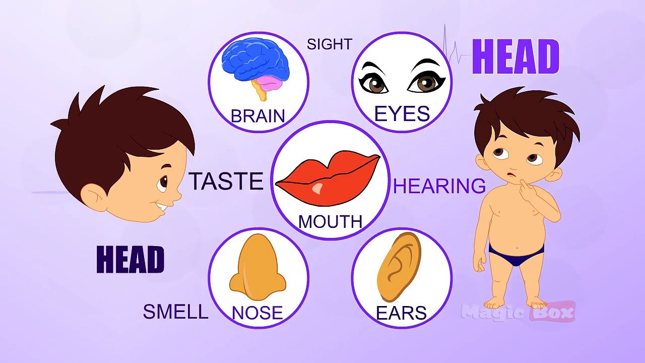 Head - Human Body Parts In Tamil - Pre School - Animated Videos For Kids
