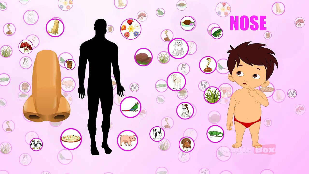 Nose - Human Body Parts In Tamil - Pre School - Animated Videos For Kids