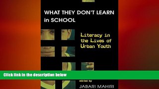 FREE PDF  What They Don t Learn in School: Literacy in the Lives of Urban Youth (New Literacies
