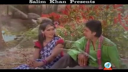 Amar sunar moyna paki
