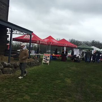 Greek Food in Melbourne | Honey Dee Loukoumades