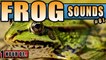 FROG SOUNDS for Sleeping and relaxation. Sleep Sounds and White Noise for 1 hour
